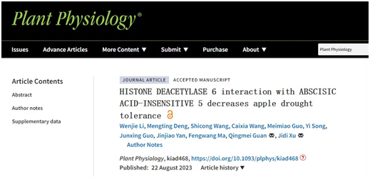 article.name