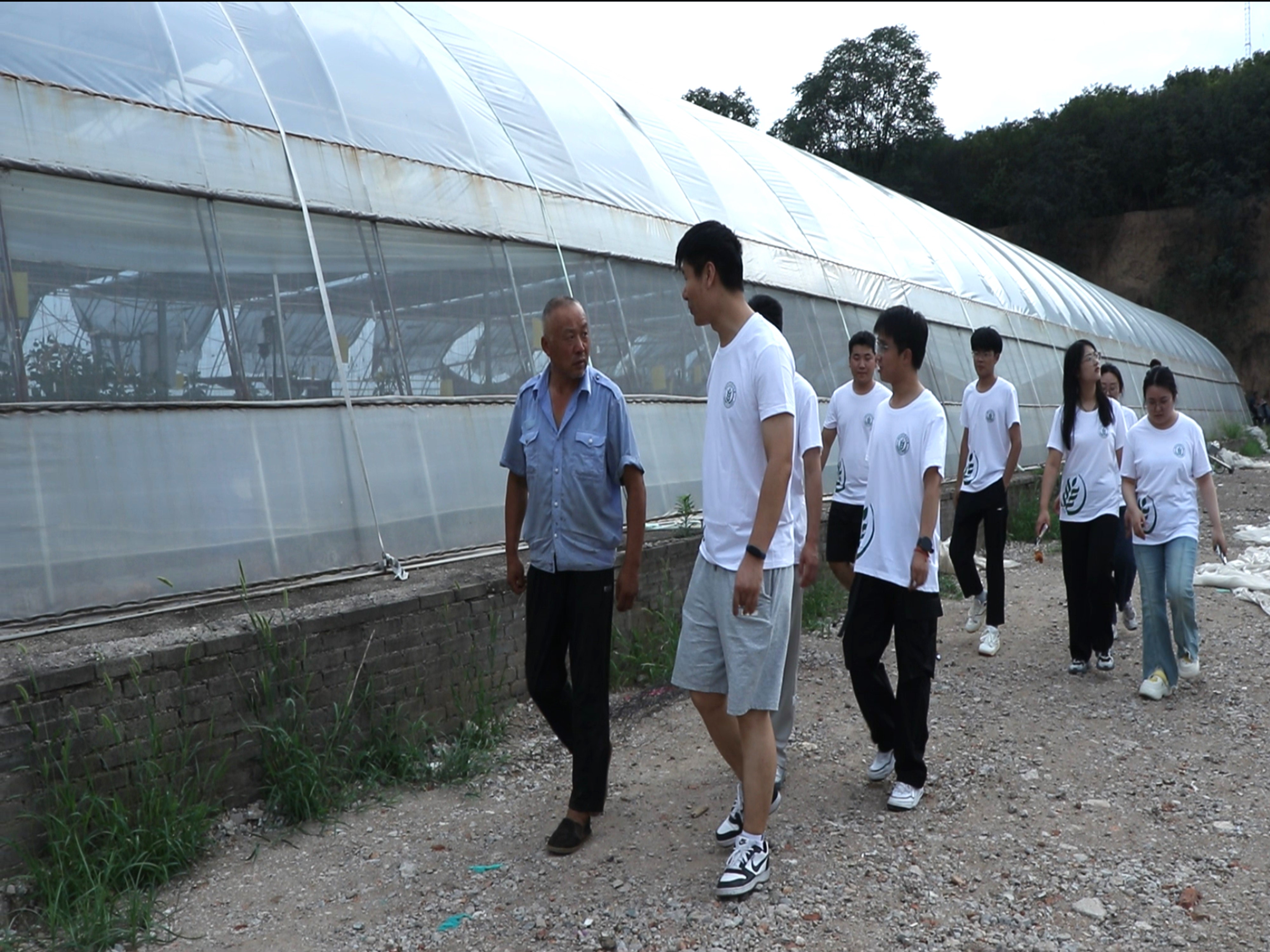 暑期社会实践投稿+yl23455永利官网赴西北地区非耕地设施农业发展调研服务队＋西农学子西吉行：黄土塬上探寻非耕地设施的“绿色生机”图片2.jpg